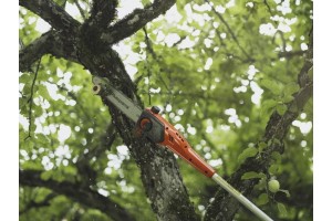 Scie/élageuse sur perche DP110 pour 110iL